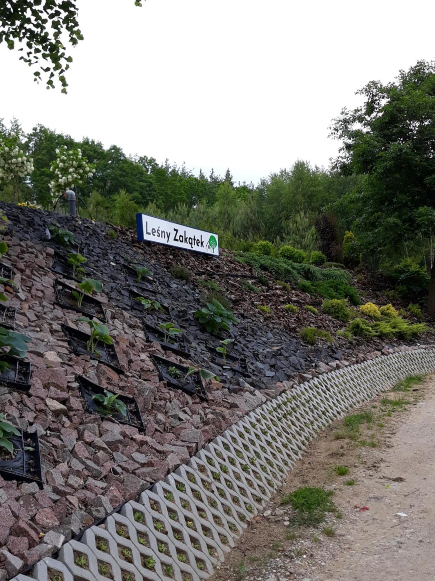 Lesny Zakatek- Domek Lipa Parchowo Exterior foto
